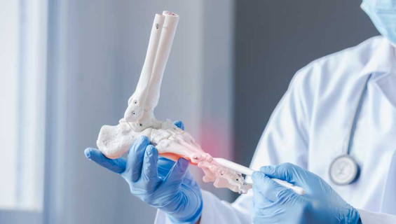 Orthopedics And Traumatology